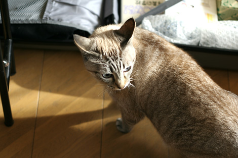 080109.jpg