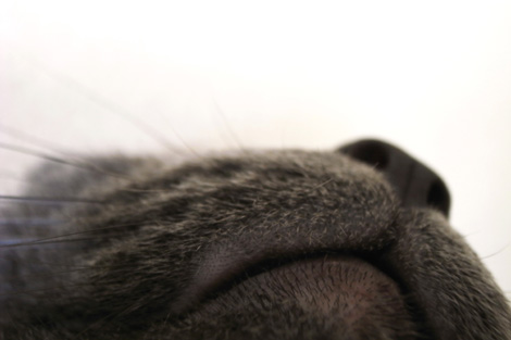 080121.jpg