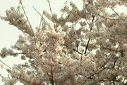 080419_02.jpg