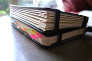 080426_04.jpg