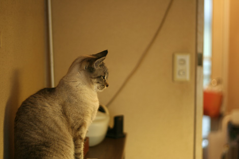 080429.jpg