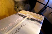 080430_02.jpg