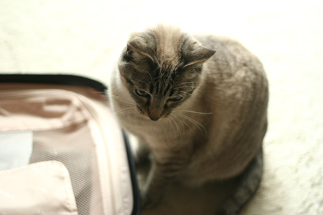 080503.jpg