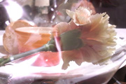 080505_02.jpg