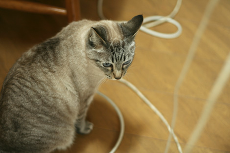 080508.jpg