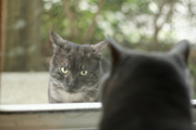 080522_02.jpg