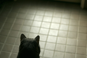 080523_03.jpg