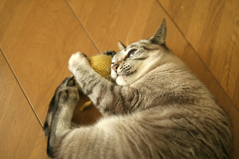 080612.jpg