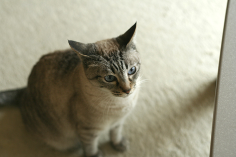 080626.jpg