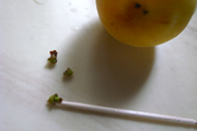 080628_02.jpg