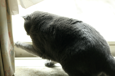 080629.jpg