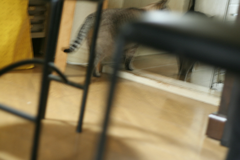 080703.jpg