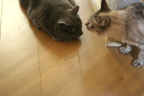 080705.jpg