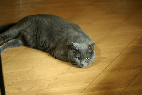 080708.jpg