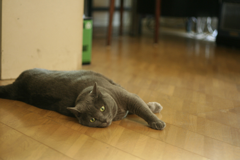 080712.jpg