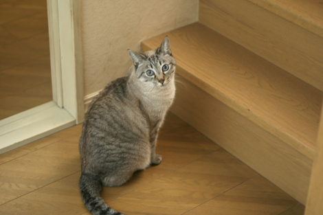 080713.jpg