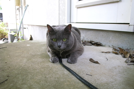 080729.jpg