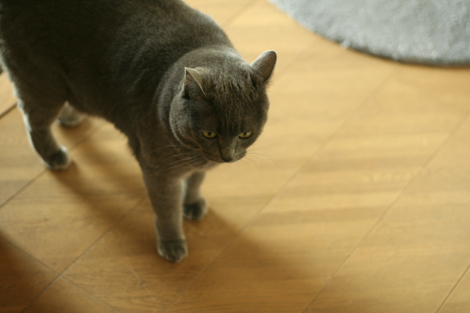 080731.jpg