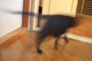 080811_02.jpg