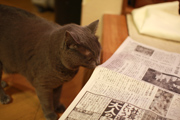 080907_02.jpg