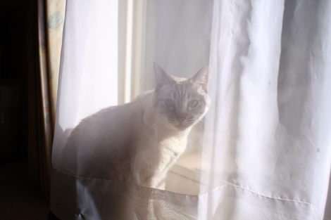 081004.jpg
