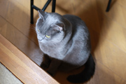 081006_02.jpg