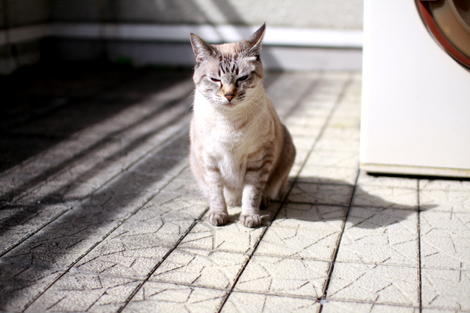 081017.jpg