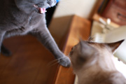 081030_02.jpg
