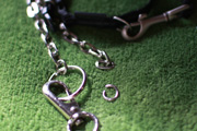 081109_02.jpg